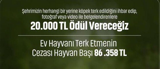 Sivas’ta Evcil hayvanını sokağa bırakana büyük ceza