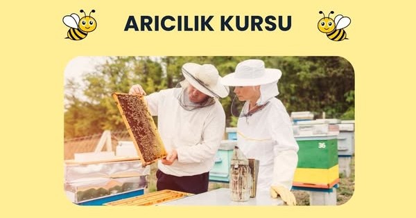 Sivas Halk Eğitim Merkezi