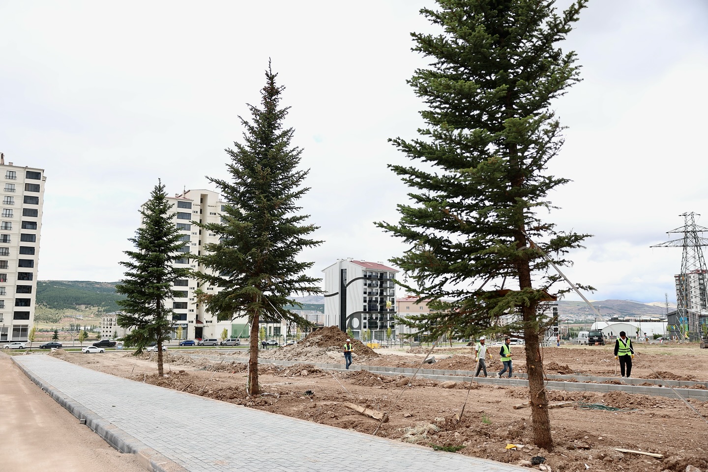 Sivas’ta Hem yeşili, hem de şehidimizin adını yaşatacağız
