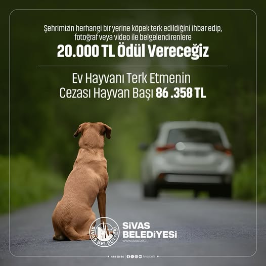 Evcil Hayvanını Sokağa Bırakana Büyük Ceza