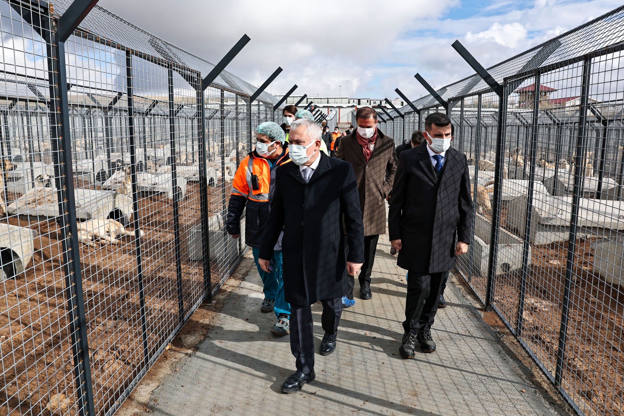 Sivas Meraküm Hayvan Bakım ve Rehabilitasyon Merkezi’nde Sokak Hayvanları Güvende