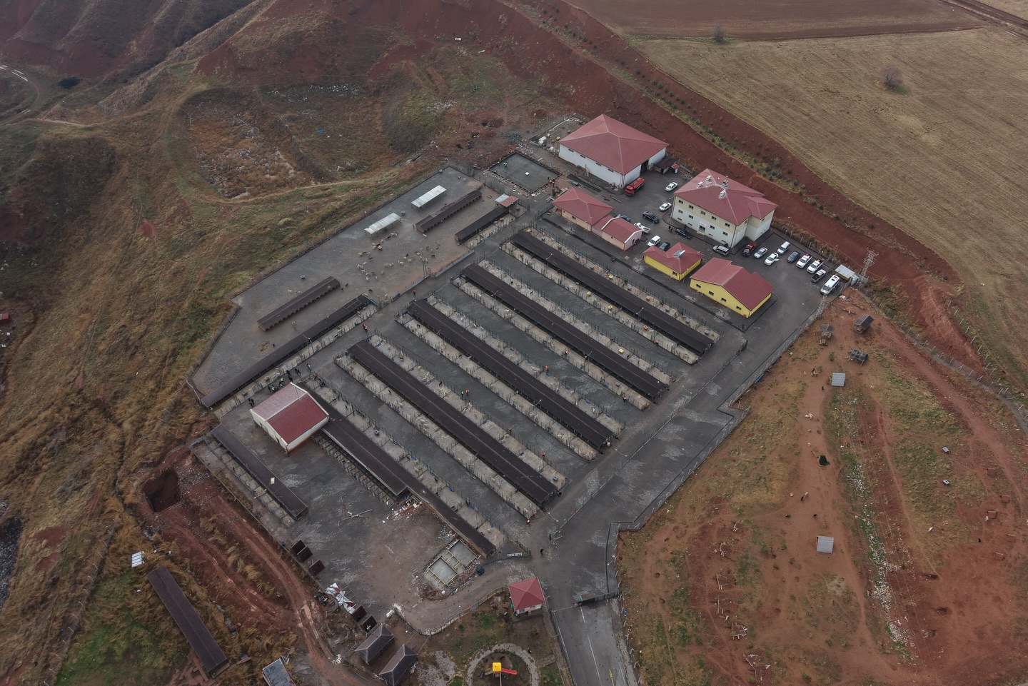 Sivas’ta Sokak Hayvanları Bakım ve Rehabilite Merkezimizi Yenileniyor