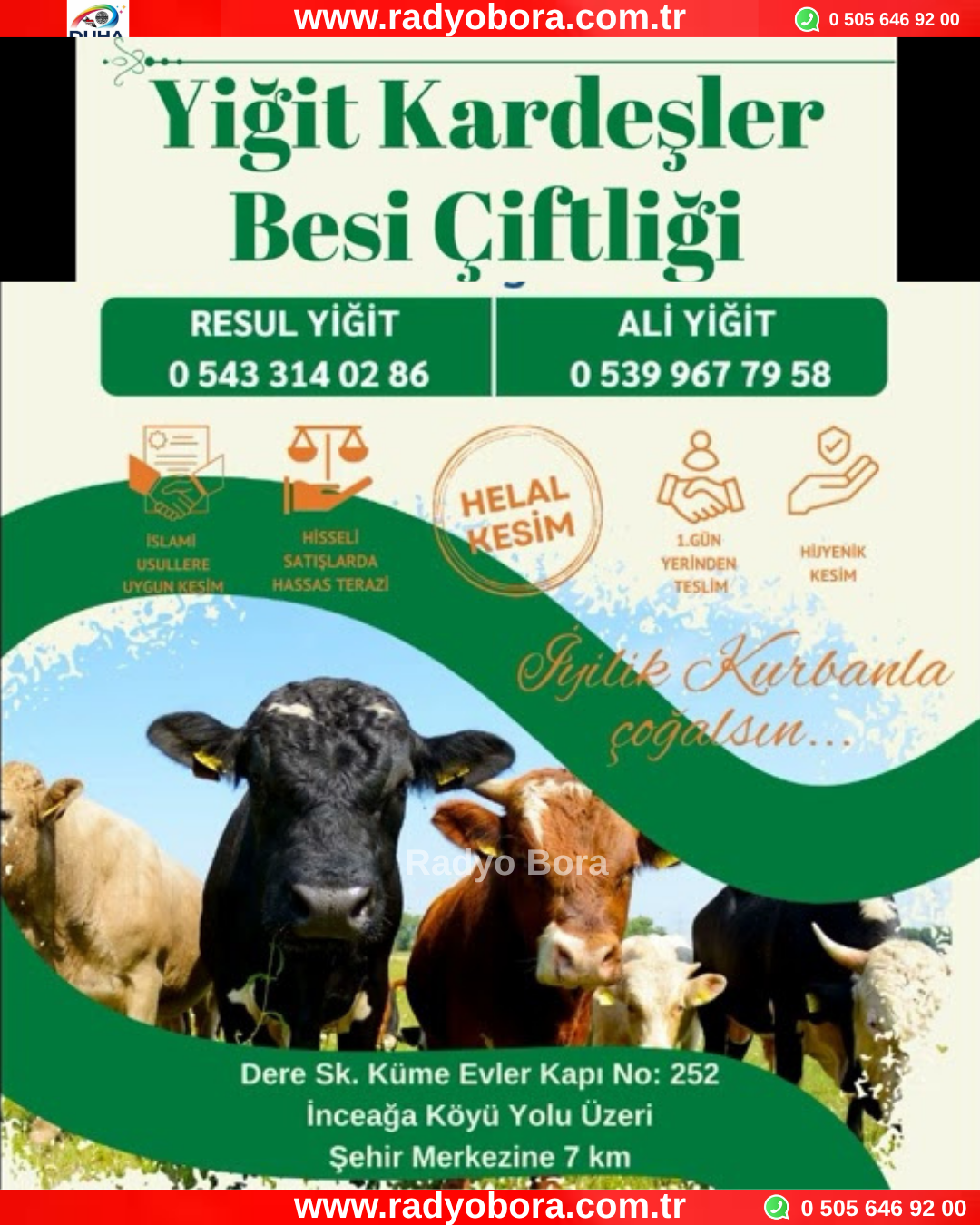 Yiğit Kardeşler Besi Çiftliği Kurbanlık Satışları Başladı